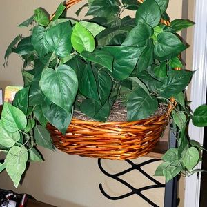 Home Decor: Artificial Plant Arrangement